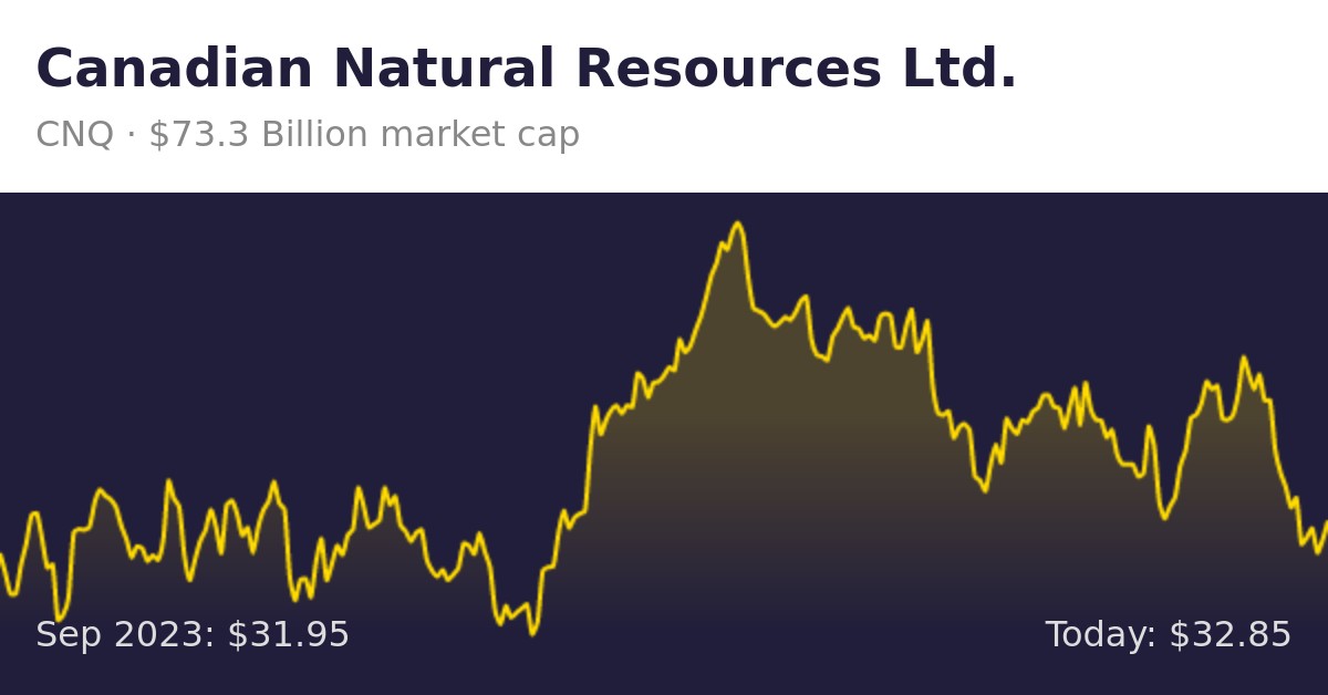 Canadian Natural Resources Ltd. (CNQ) Finance information